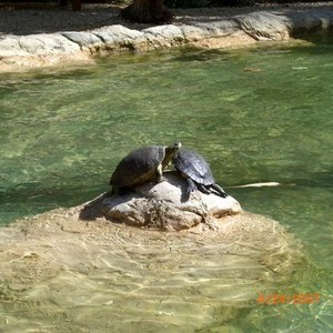 Grand Cayman, Cayman Islands 2007