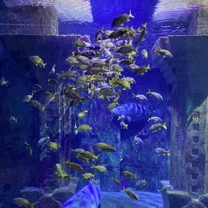 Paradise Island, Bahamas 2024