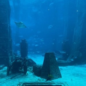 Paradise Island, Bahamas 2024