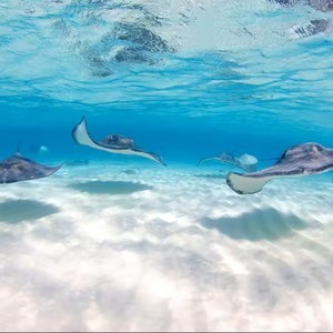 Nurse Anesthesia Update Grand Cayman